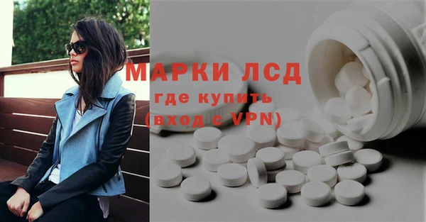 сатива Сосновка