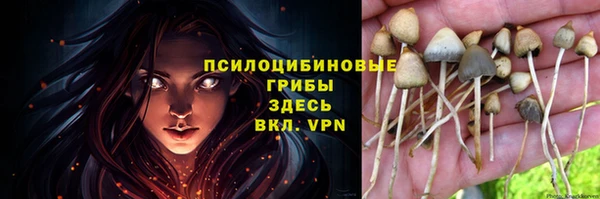 индика Навашино