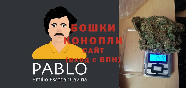 шишки Семёнов