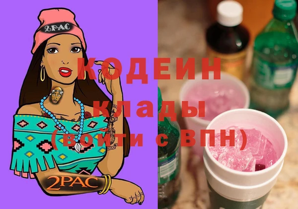 индика Навашино