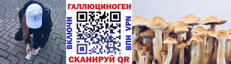 где купить наркоту  Кондрово  Галлюциногенные грибы ЛСД 